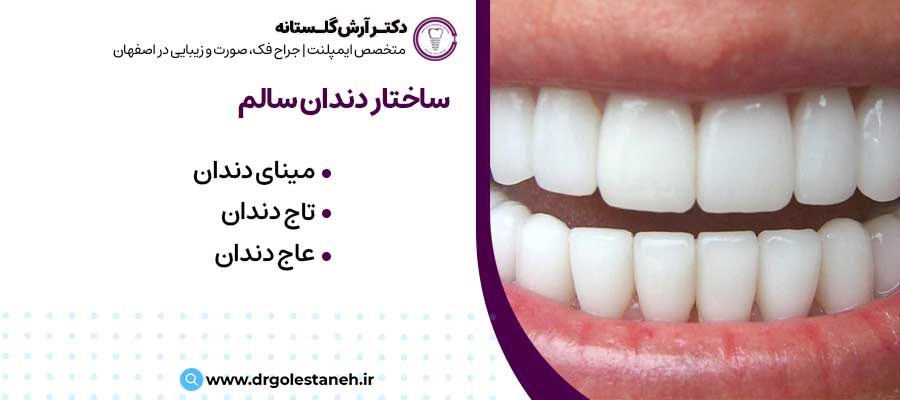 ساختار دندان سالم |دکتر آرش گلستانه جراح فک و صورت در اصفهان